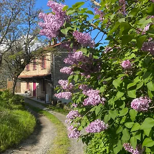 La Lupa E L'orso , Berceto Italien